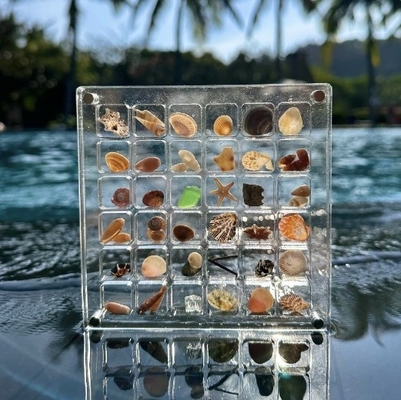 Neues Design Magnetische Muschel Muster Acryl Display Box für Schmuck Lagerbox